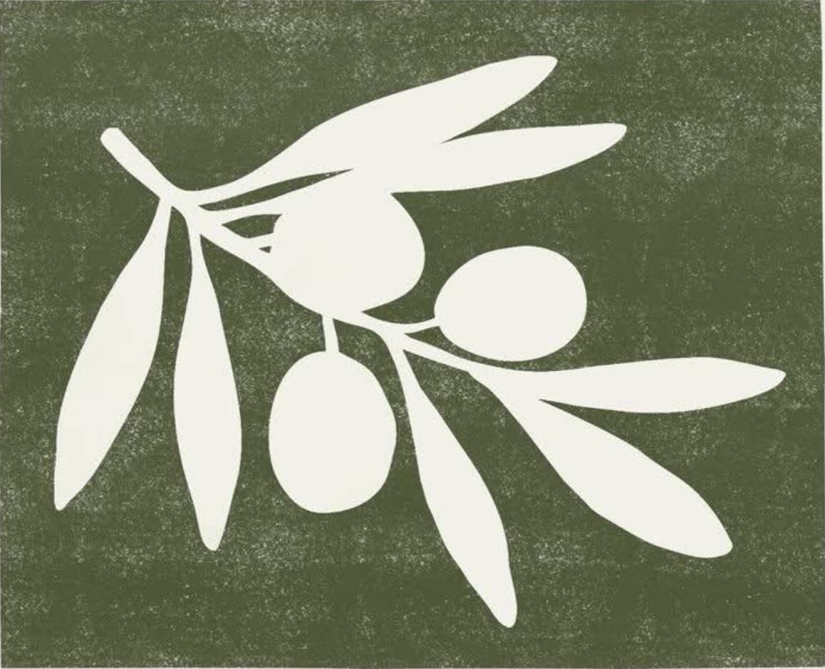 Olive Branch